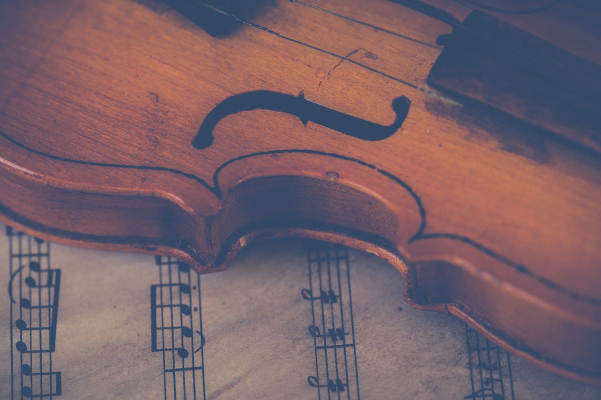 How Much Does It Cost to Hire an Instrument in New Zealand?