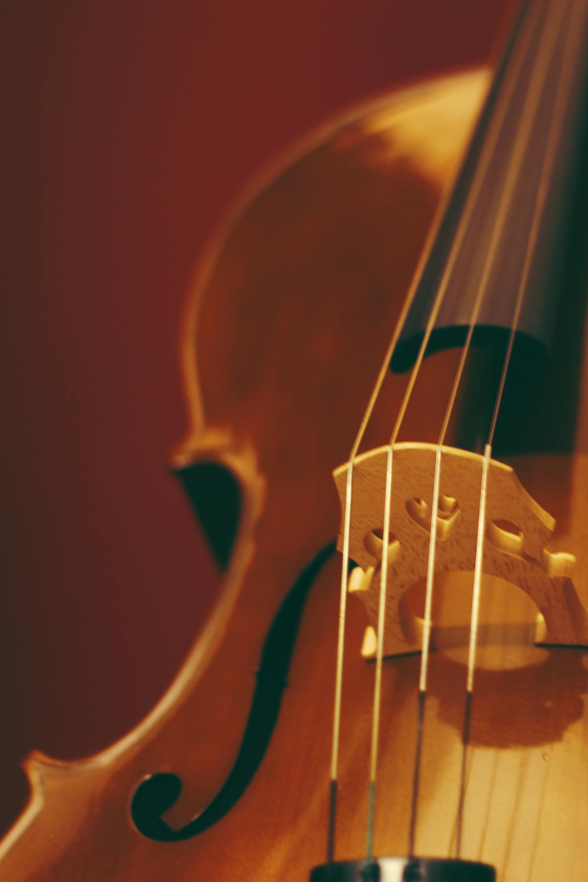 Insurance and Protection for Your Child's Hired Instrument
