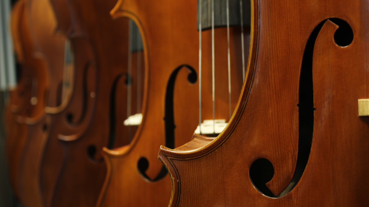 Violin vs Cello vs Viola: Which String Instrument Is Right for Your Child?