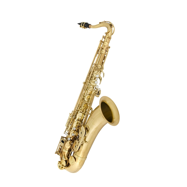 Antigua TS3100 Tenor Saxophone by Antigua — Saxophone for rent