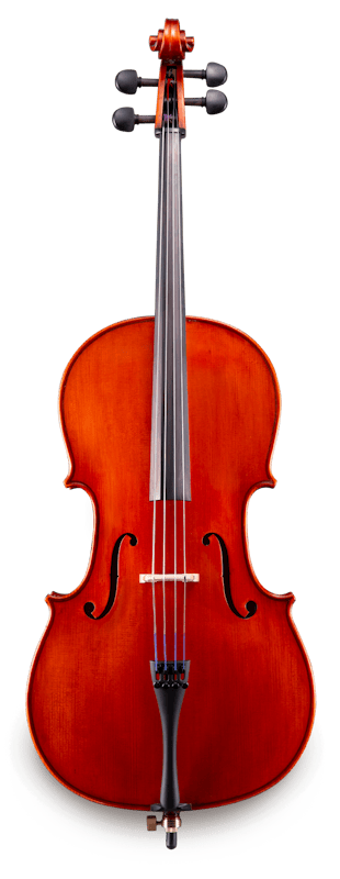 Eastman VC100 Cello — Full Size by Eastman — Cello for rent